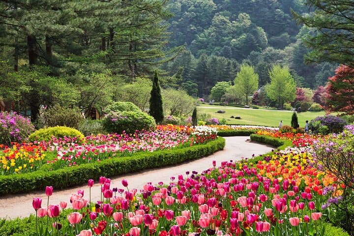 Full Day Private Tour Nami Island, Garden & Petite France