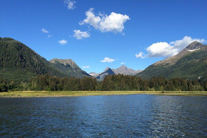 Private Charter Scenic Wildlife Excursion for Cruise Passengers