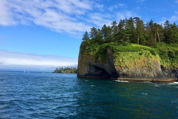 Sitka Scenic Marine Life & Seabirds Private Charter Eco-Tour - Excursão Privada