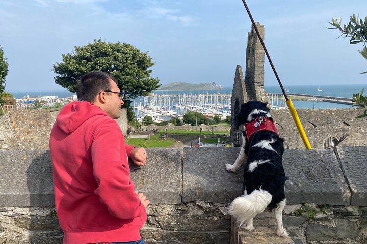 ダブリンの海岸沿いをハイキングし、地元の人と愛犬と一緒にビールを楽しむプライベートツアー