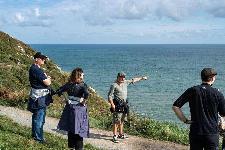 ダブリンの海岸沿いをハイキングし、地元の人と愛犬と一緒にビールを楽しむプライベートツアー