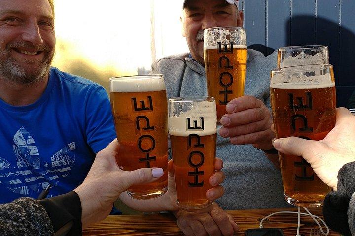 ダブリンの海岸沿いをハイキングし、地元の人と愛犬と一緒にビールを楽しむプライベートツアー