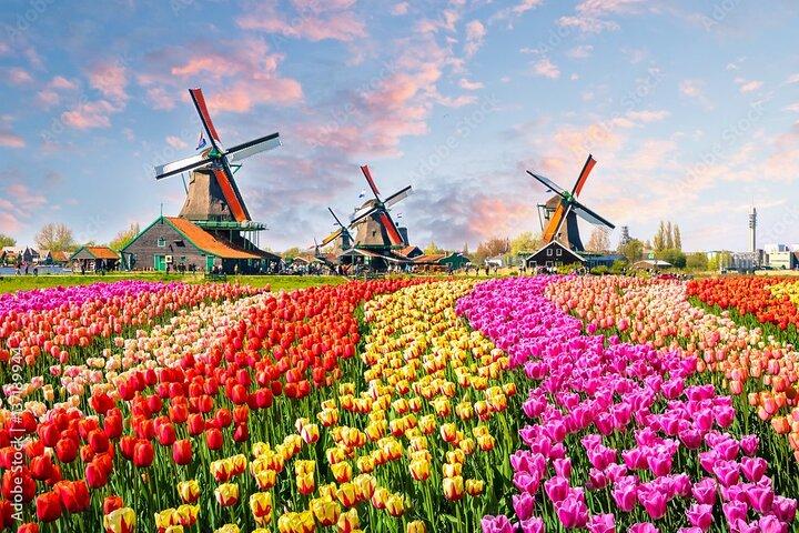 Tour privato della campagna da Amsterdam