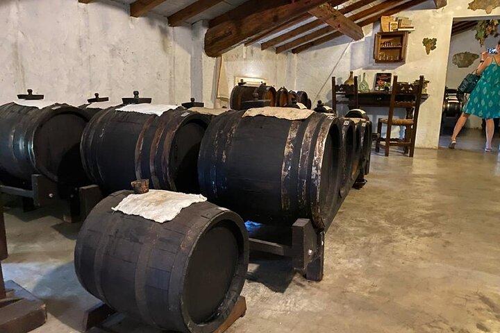 Bologna Parmezaanse kaas, wijn, balsamico-dagtour, kookcursus pasta