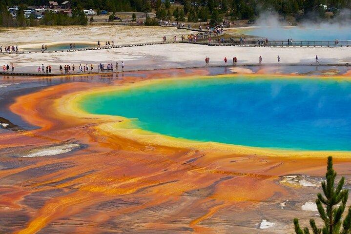 Yellowstone: Privat guidet tur