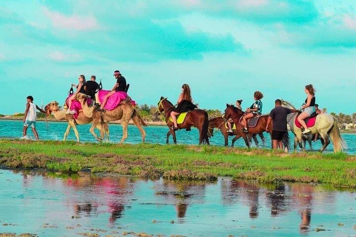Udforsk Djerba på kamel og hest