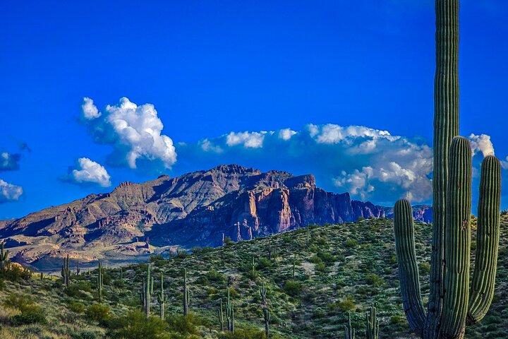 Offroad Sonoran Desert Adventure and Sunset