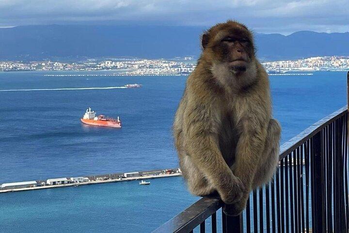 Privédagtrip naar Gibraltar vanuit Sevilla