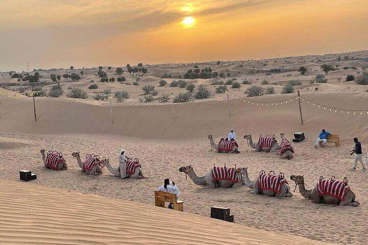 Dubai: Desert Safari, Quad Bike, Camel Ride met VIP Majlis