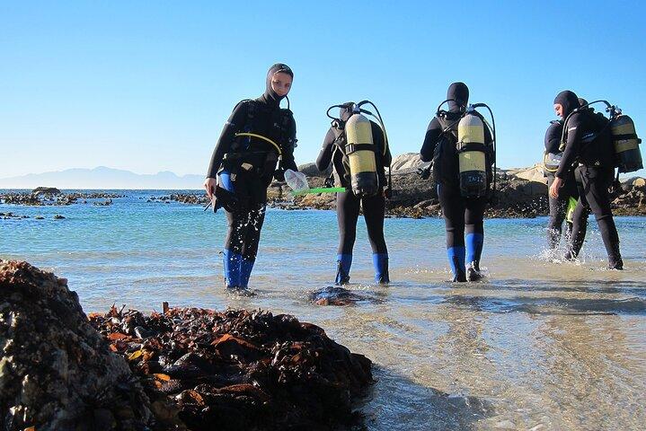 Immersione sulla spiaggia con trasferimento – Sharm El Sheikh