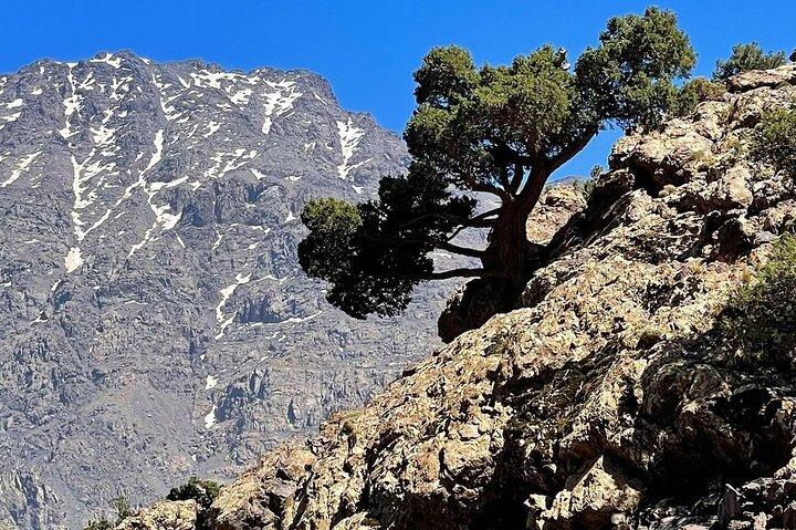 美しいアトラス山脈の頂上、日帰りハイキングとトレッキング