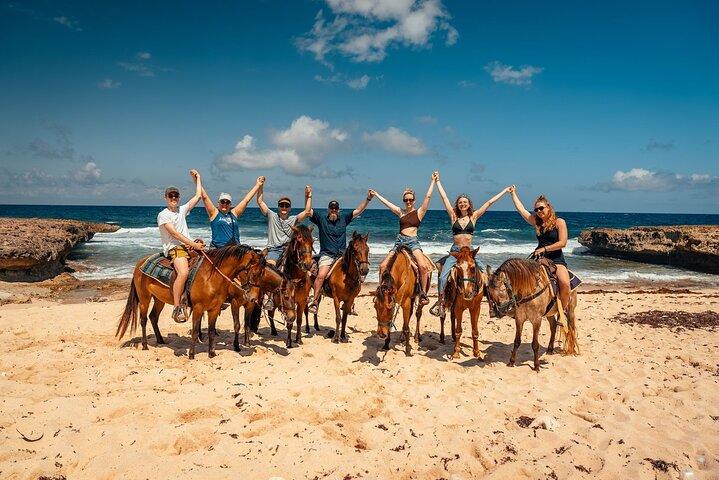 Aruba Ecologique & Littoral Balade à cheval avec arrêt photo sur la plage