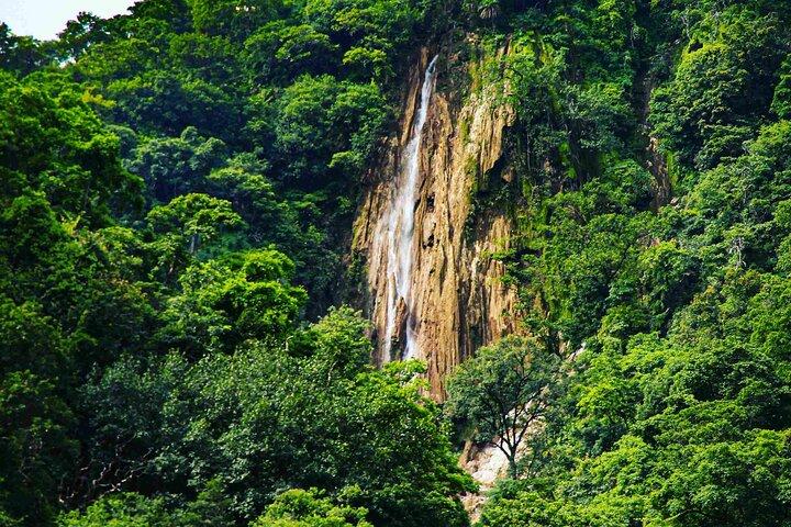 Rishikesh Heldagstur med privat sightseeing med bil