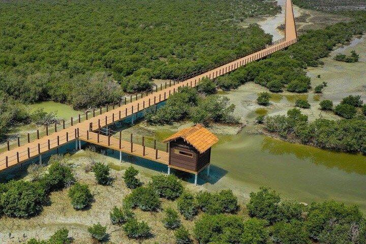 ドーハから： 終日カタール北部と西部の歴史と遺産