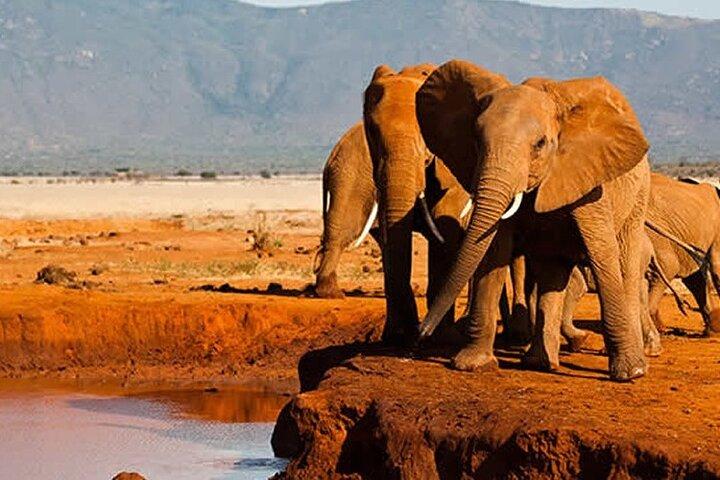 3 dagar Man Eaters Camp Madaraka Express Paket