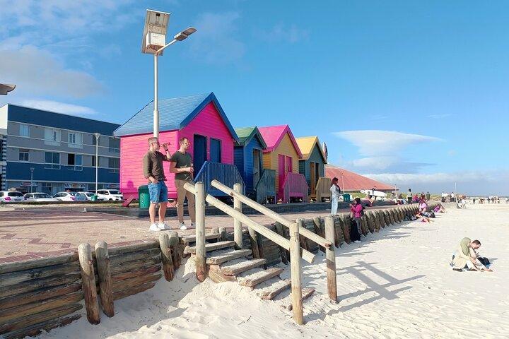 Heldagstur til Kap det Gode Håb og pingviner fra Cape Town