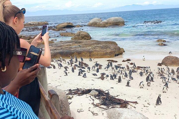 Heldagstur til Kap det Gode Håb og pingviner fra Cape Town