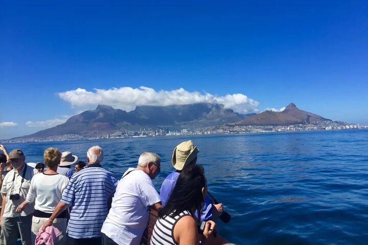 Hoteller i nærheden af Kirstenbosch Gardens and Groot Constantia Tour