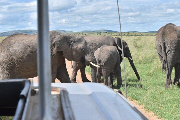 Tour guidato condiviso Safari di 5 giorni e 4 notti a Nairobi