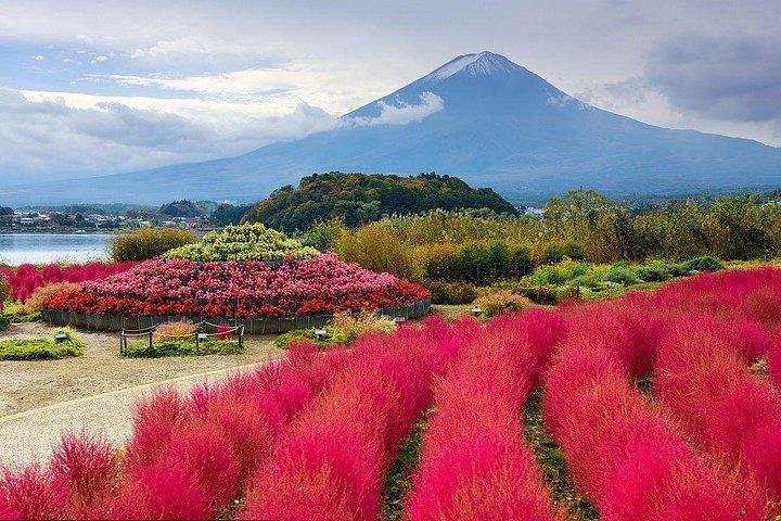 Private Customizable Tour in Mount Fuji