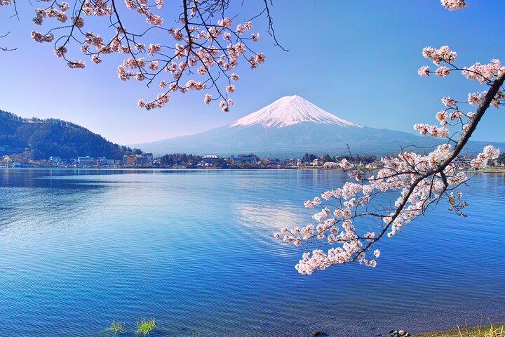 富士山のプライベートカスタマイズツアー