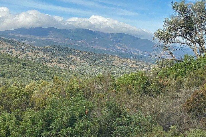 Von Chefchaouen : Gemeinsamer Transfer nach Fes oder Tanger