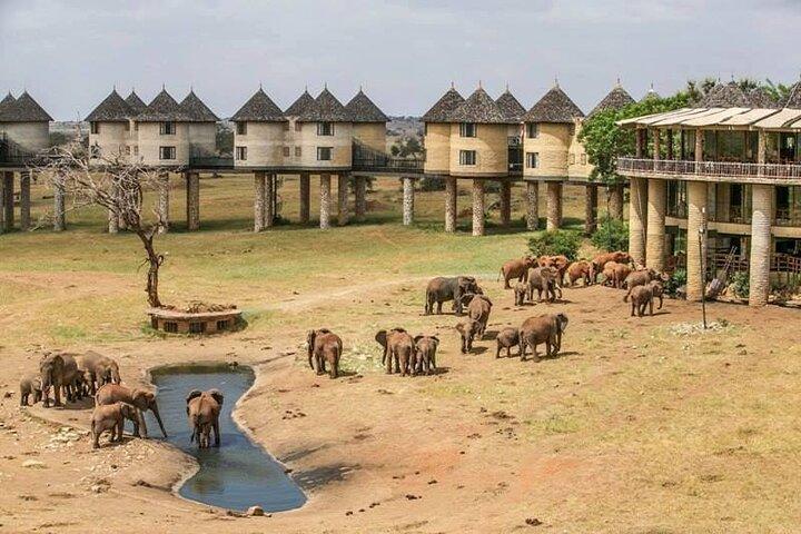 2 dias Taita Hills Game Sanctuary Saltlick Lodge