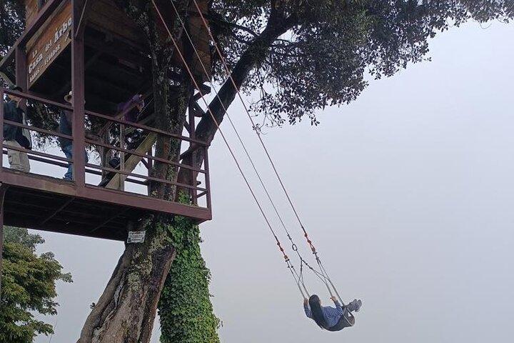 Full-Day Private Baños Day Trip Waterfalls Tree House Tailor Made