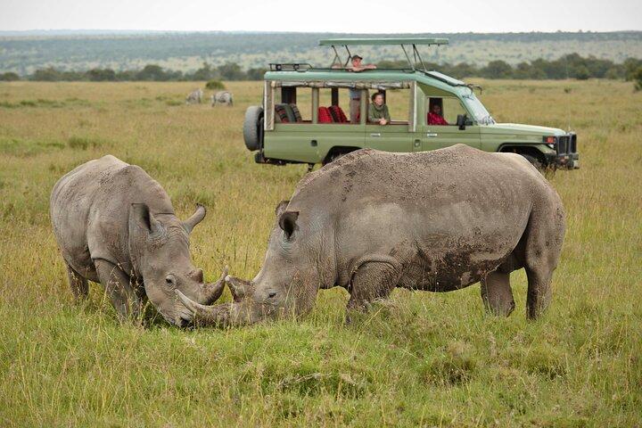 Olpejeta conservancy Day tour
