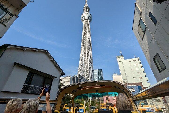 Tokyo Sky Hop Day Pass (com passagens ilimitadas)