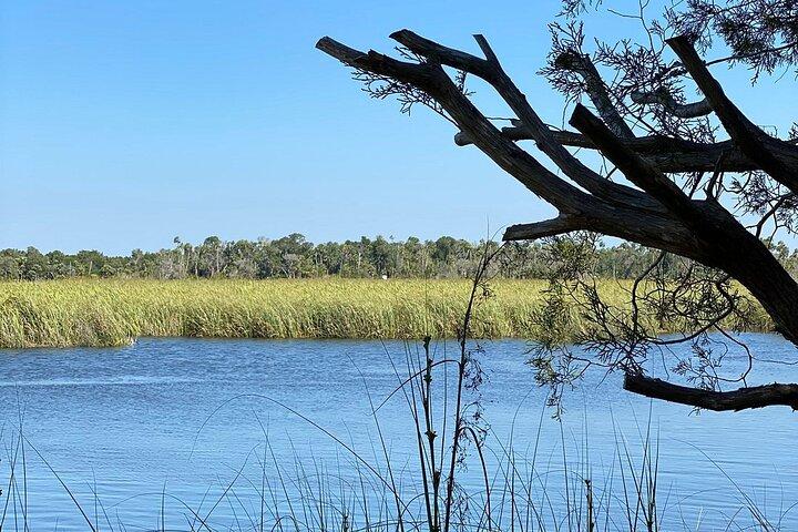 Location de bateau ponton Crystal River