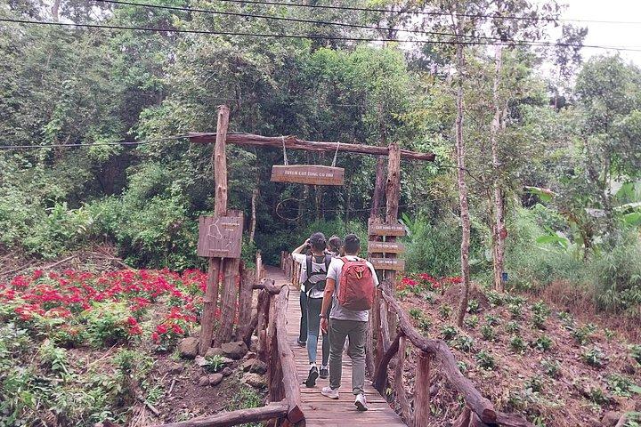 宿泊、食事付きナム・カット・ティエン国立公園 2 日間ツアー。