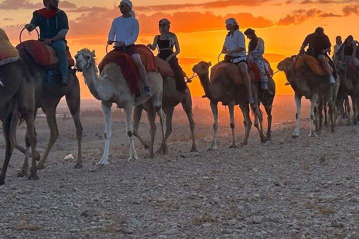 Marrakech Agafay Desert Sunset Dinner Show & trasferimento in hotel