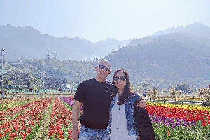 Srinagar- transfers+Hotel+Sightseeing