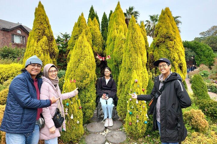 Tour en taxi guiado privado en la isla de jeju