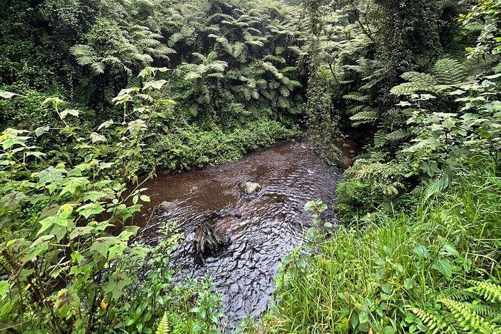 Nairobi Paardrij-ervaring in het Karura-bos