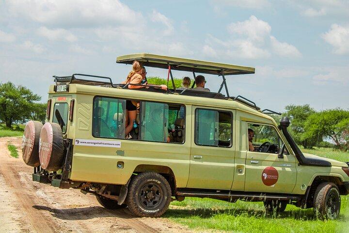 5 - Dagsresa från Zanzibar till Serengeti nationalpark