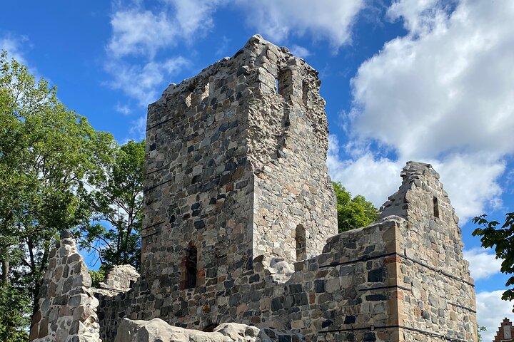 Tour privado a Sigtuna, Uppsala con vistas vikingas en limusina