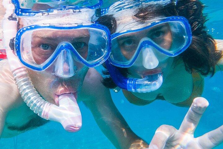 "Seas the Day!" Springen Sie zu ikonischen BVI-Inseln und erstaunlichem Schnorcheln.