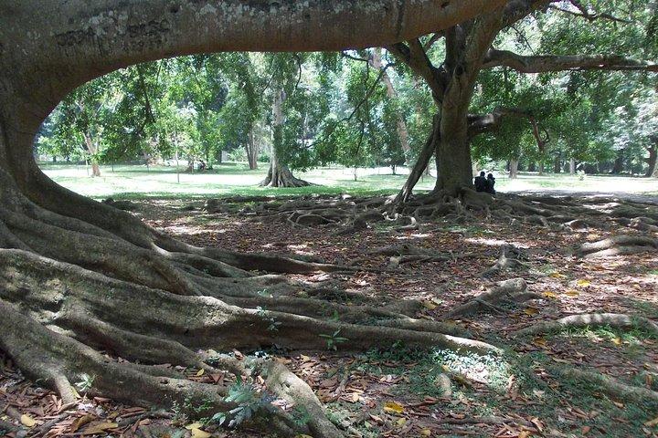 KANDY HALF DAY PRIVATE TOUR BY Tuk