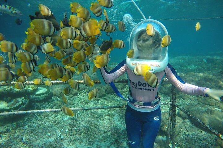 Aventure de marche marine de 30 minutes à Nusa Dua Bali
