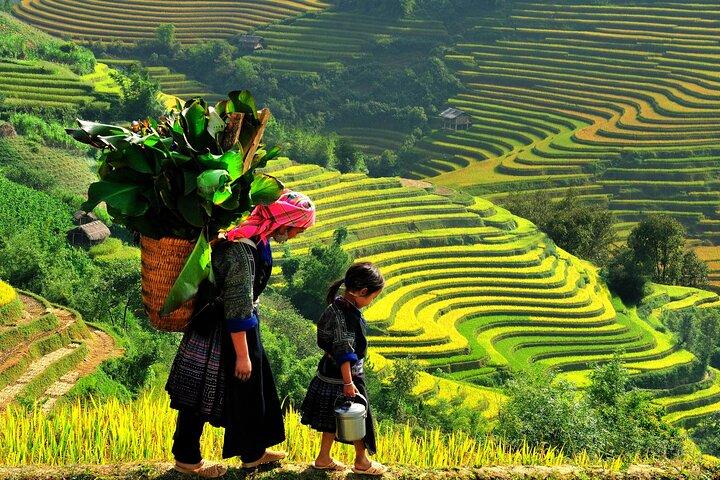 Von Hanoi: 3-tägige Sapa-Trekking- und Bustour ab Hanoi