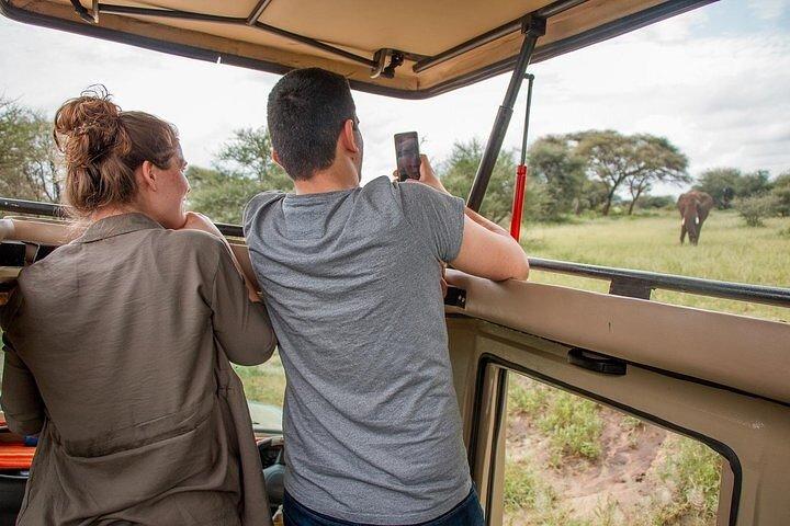 3 dagars safari till Tarangire Ngorongoro och Manyara lodge-safari