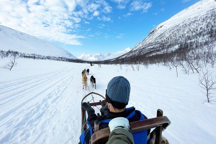 Dog Sledding: Uma experiência autônoma no Ártico a partir de Tromsø