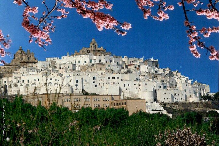 Puglia's White Gems: Alberobello e Martina Franca