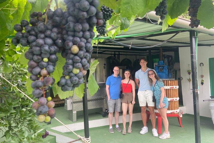 Prueba los vinos únicos de Gran Canaria