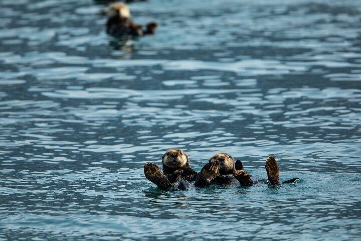 Crociera con cena sul ghiacciaio del Parco Nazionale dei Fiordi di Kenai da Seward