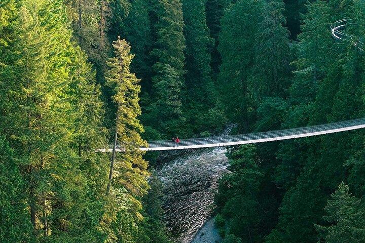 Capilano Suspension Bridge Park Billet
