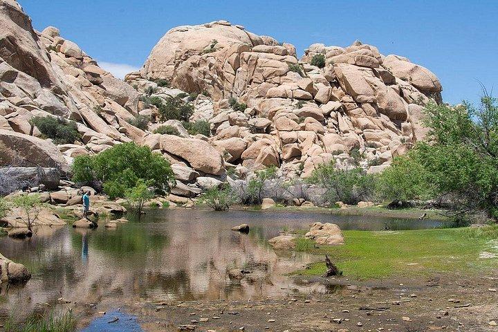 Journey into Joshua Tree Self-Guided Audio Driving Tour