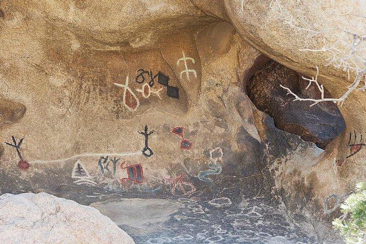 Journey into Joshua Tree Self-Guided Audio Driving Tour